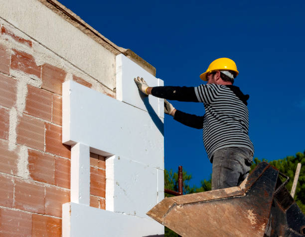 Best Home Insulation Services  in Grayslake, IL