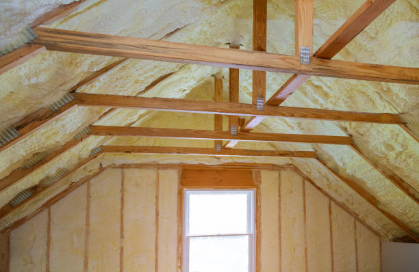 Best Attic Insulation Installation  in Grayslake, IL