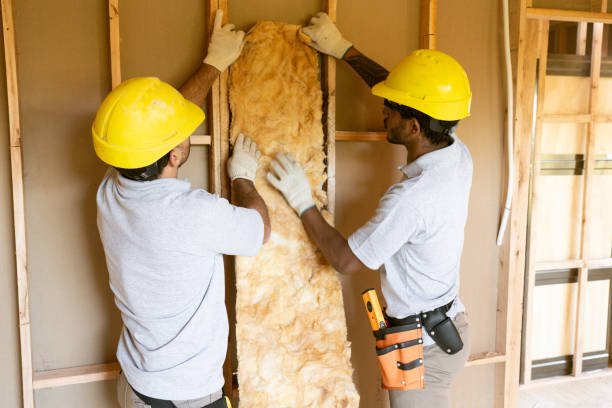 Best Insulation Removal  in Grayslake, IL